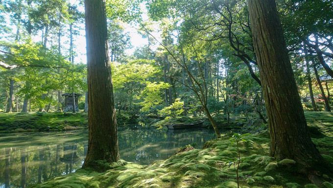 苔の魔法、西芳寺への心ゆくまでの旅│予約方法・アクセス